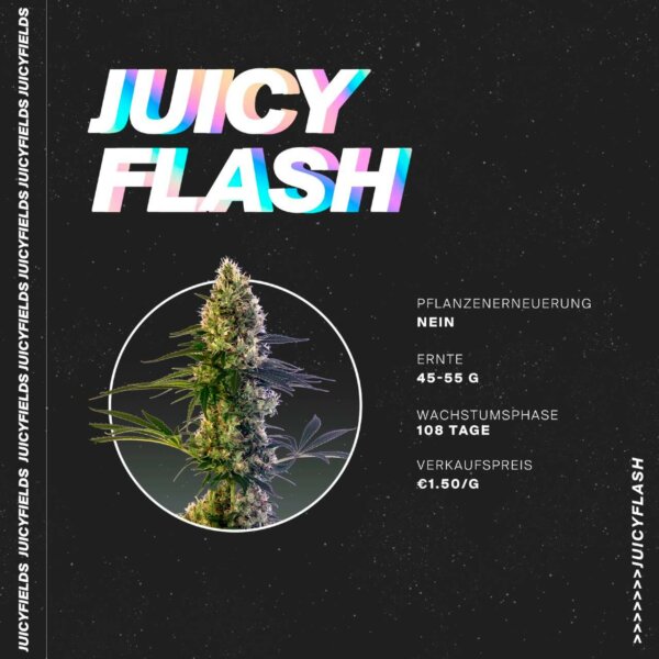 juicyfields flash